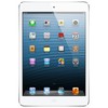 Apple iPad mini 16Gb Wi-Fi + Cellular белый - Котельнич