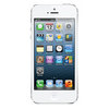 Apple iPhone 5 16Gb white - Котельнич